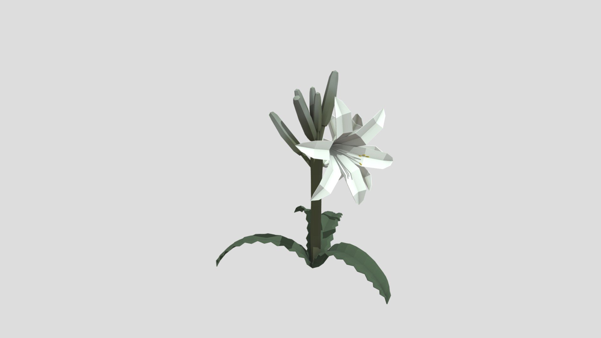 Desert Lily by Google Poly