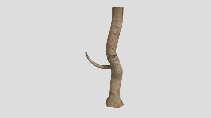 Tree (First Draft) 3D Model
