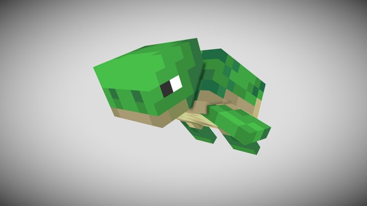 Turtle Hat 3D Model