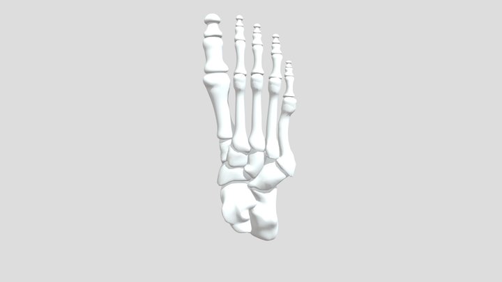 Borrowed_Scan_20 3D Model