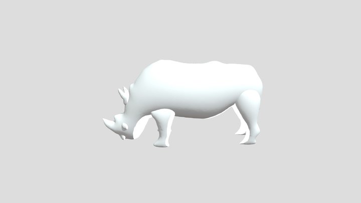 Rhino 3D Model