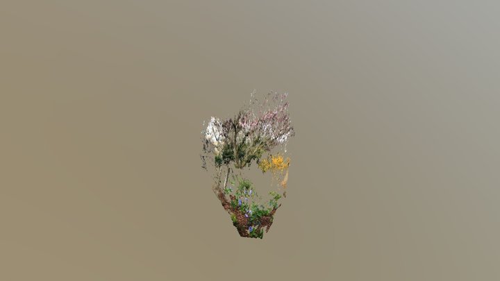 Little Flowers And All 3D Model