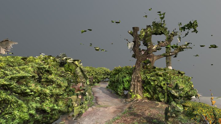 garden scan by ipad 3D Model