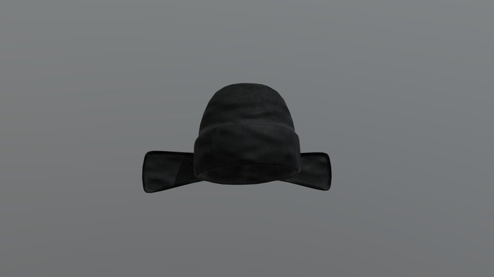 Chinese hat 3D Model