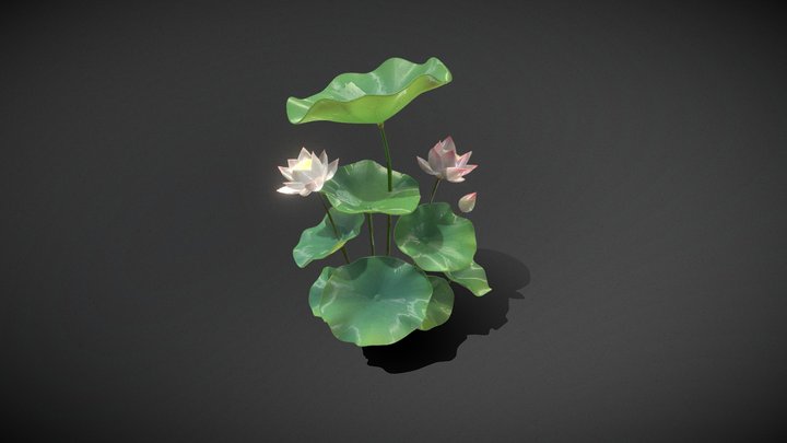 Mature Blossom Cluster & Aquatic Foliage_Tt – Kostenloses 3D-Modell STL