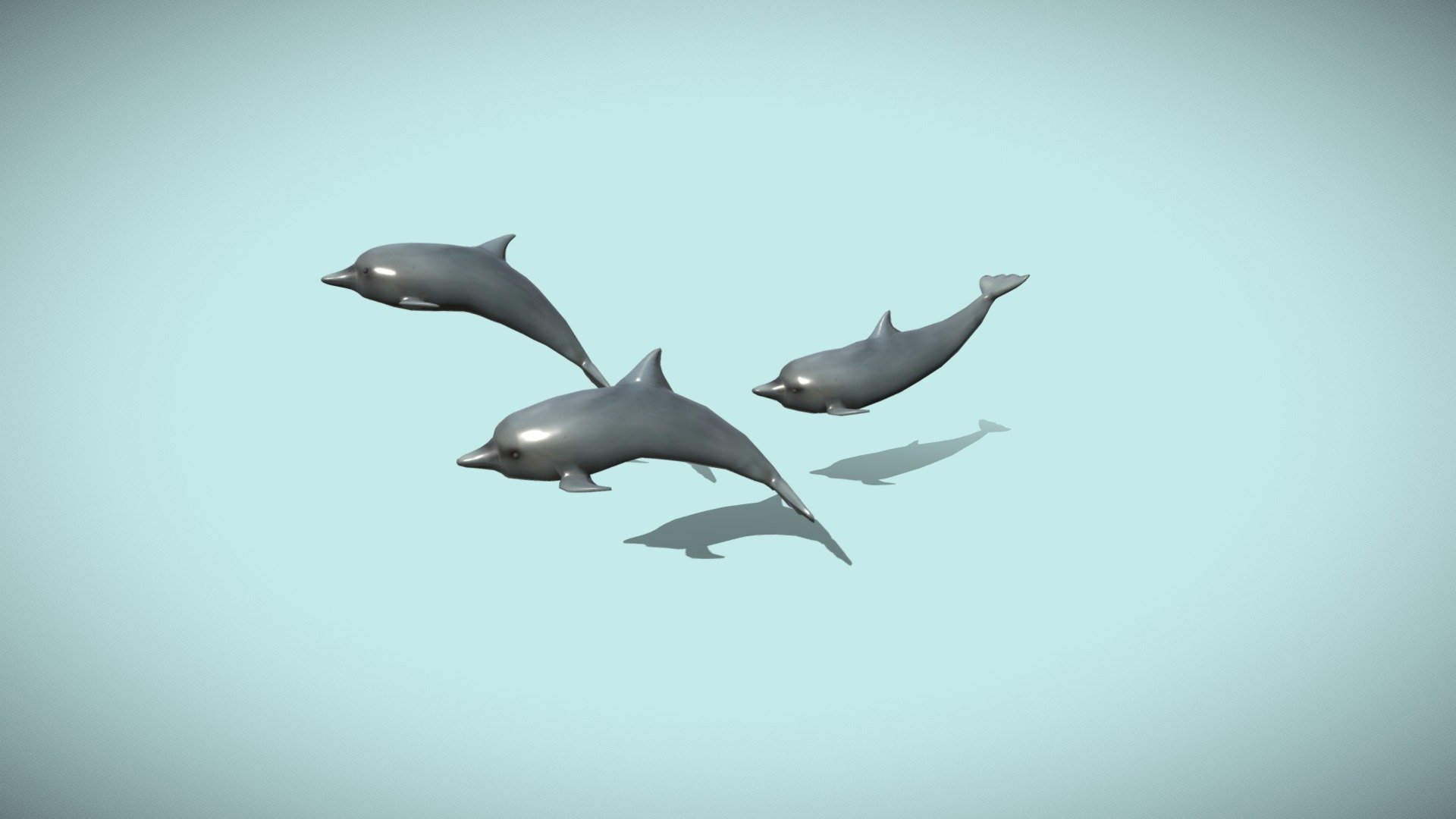Dolphins