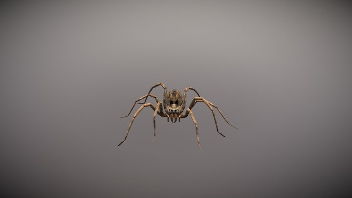 Animated Spider 3D Model