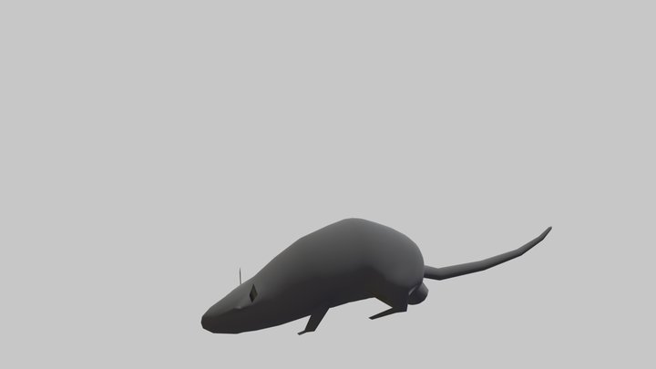 Speed Model - Rat 3D Model