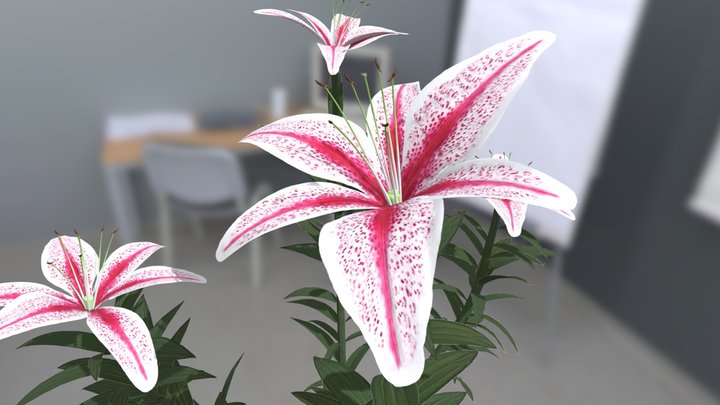 Flower in pink color 3D Model