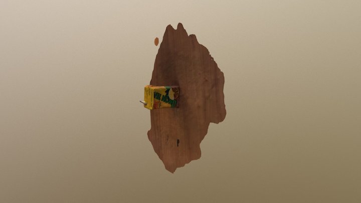 Assignment 8 - Photogrammetry 3D Model