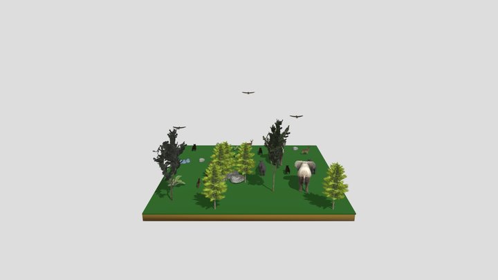 Ecosystem 3D Model
