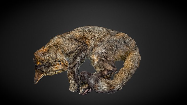 Maggie (print version 200mm) 3D Model