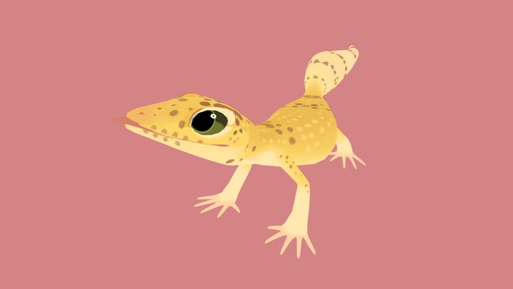 Eublepharis – Free 3D Model STL
