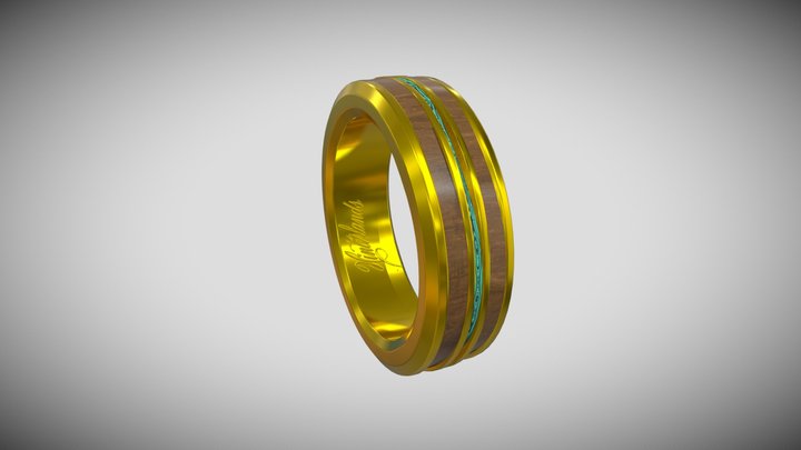 Hinterland Ring 3D Model