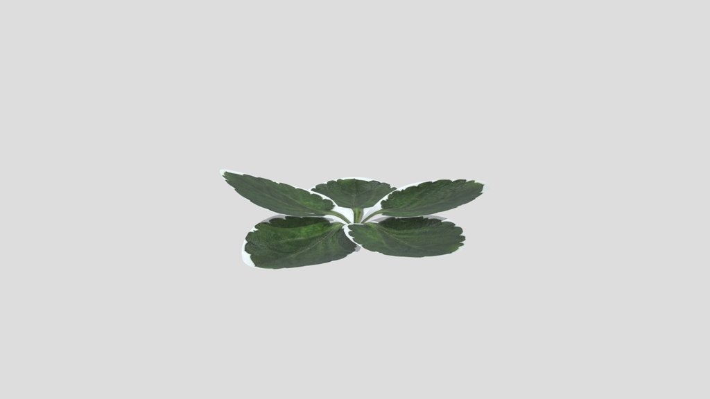 Weed