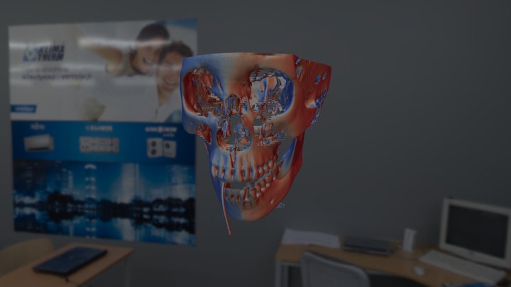 3D visualization of a human skull - contour 3D Model