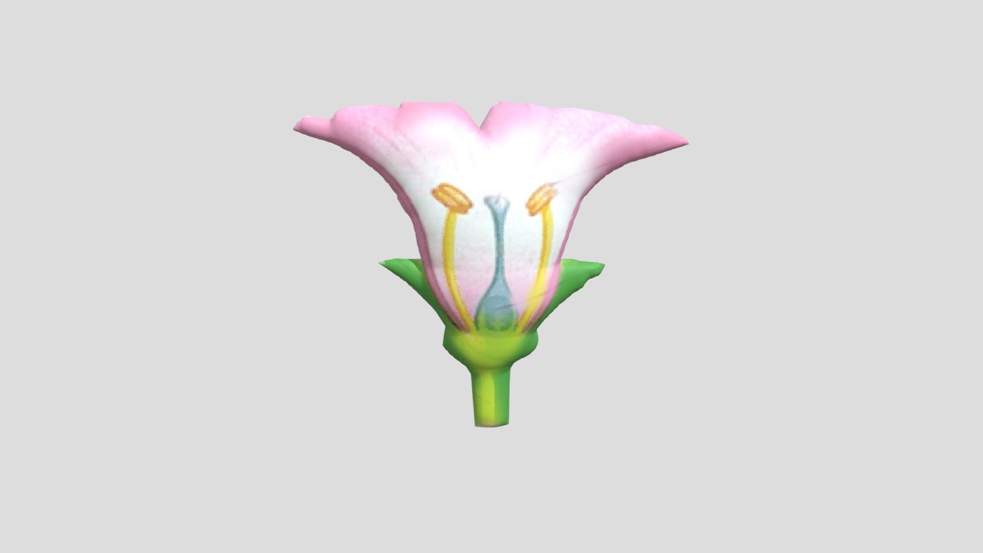 bunga tidak sempurna - 3D model by mirajuliya590 [af9ca04] - Sketchfab