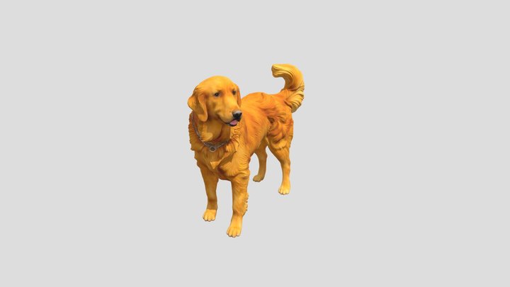 Realistic Golden Retriever – 3D Dog Model