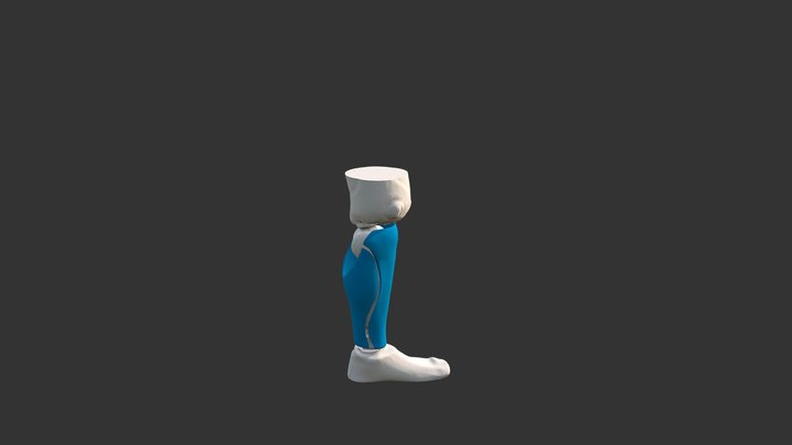 Coque DGé 3D Model