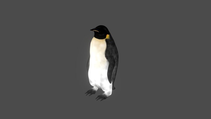 Penguin 3D Model