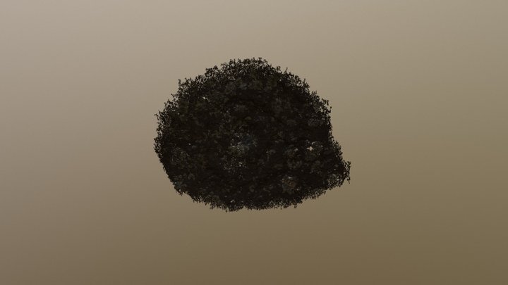 19 (1/2) 3D Model