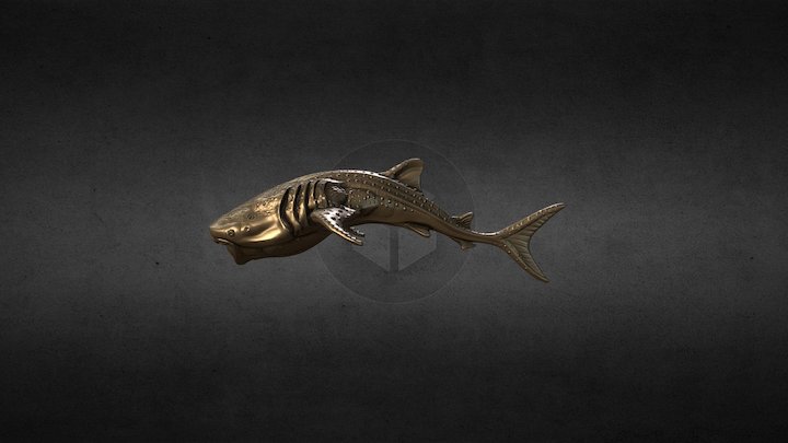 Whale Shark 3D Model