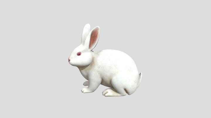 Rabbit+2 – Modèle 3D gratuit STL