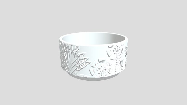 Body 3D Model