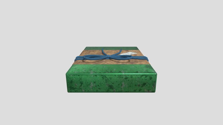 Present 3D Model