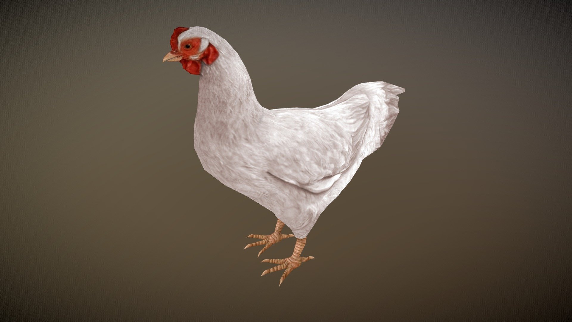 White Hen chicken Animated - Buy Royalty Free 3D model by Bilal Creation  Production (@bilalcreation) [afa7f46]