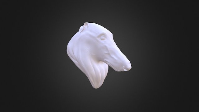 Borzoi Head 3D Model