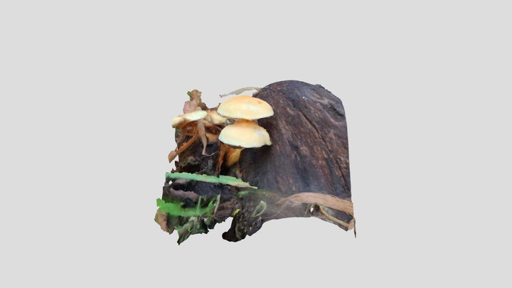 Sulfur tuft – Modello 3D gratuito STL