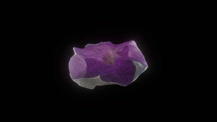 Flower 3D Model