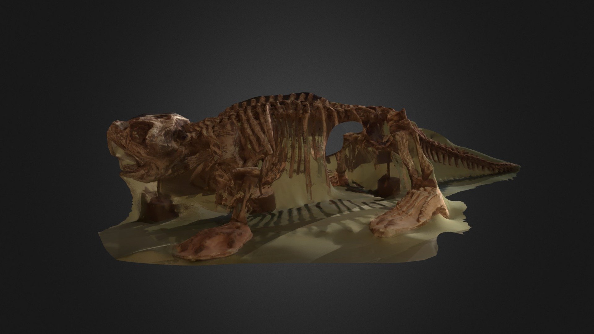 Fossil Bicho Preguiça