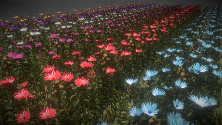 Flowers 3D Model