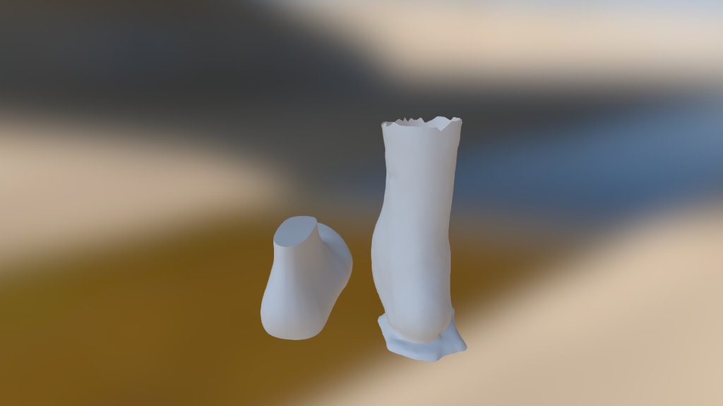Comp Pied Droit Veylet