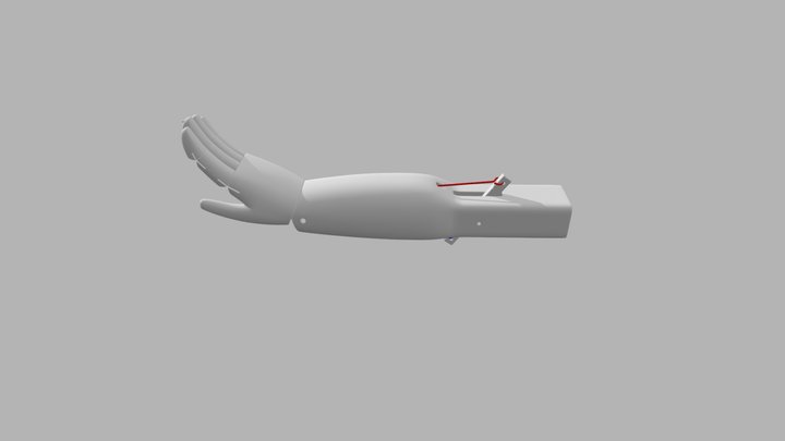 もみじ手_右手 3D Model
