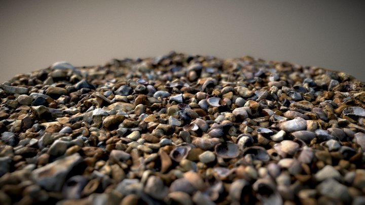 Shells & Stones - #AgisoftNatureChallenge – Modelo 3D gratuito STL