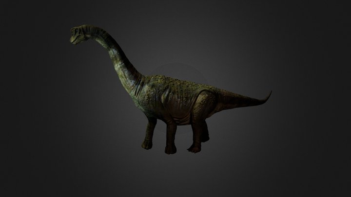 Paluxysaurus 3D Model