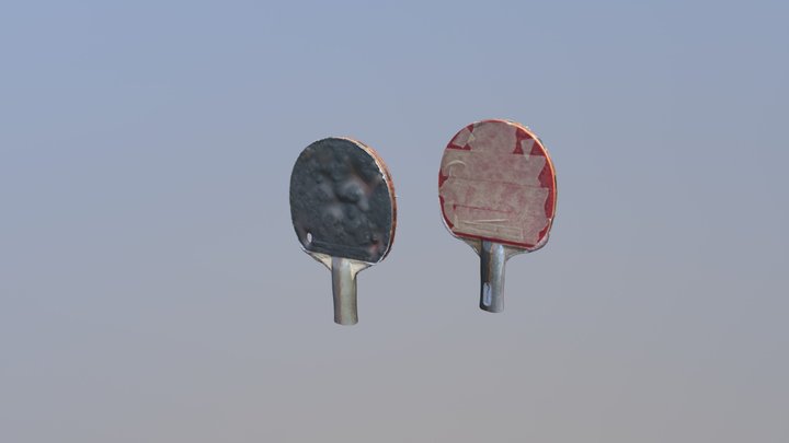 Photogrammetry - Paddles comparsion 3D Model