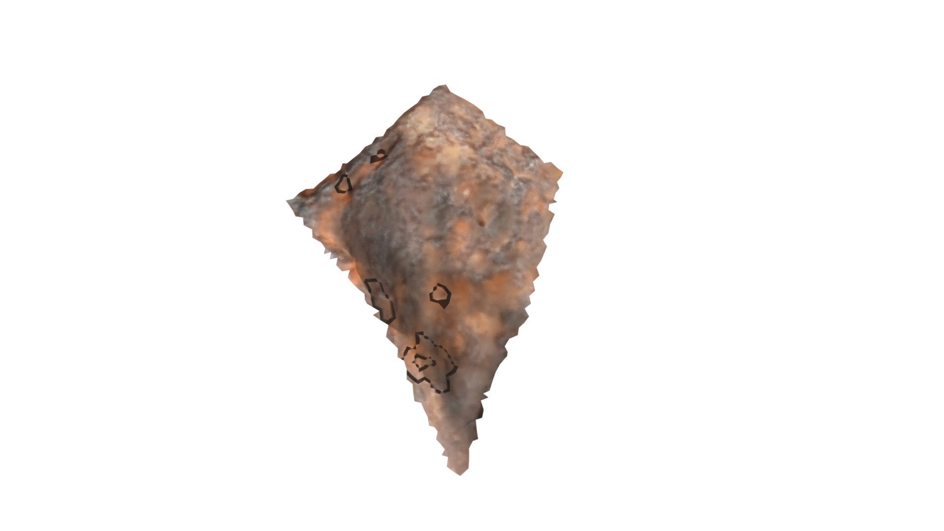 D19 - aurochs MNIR