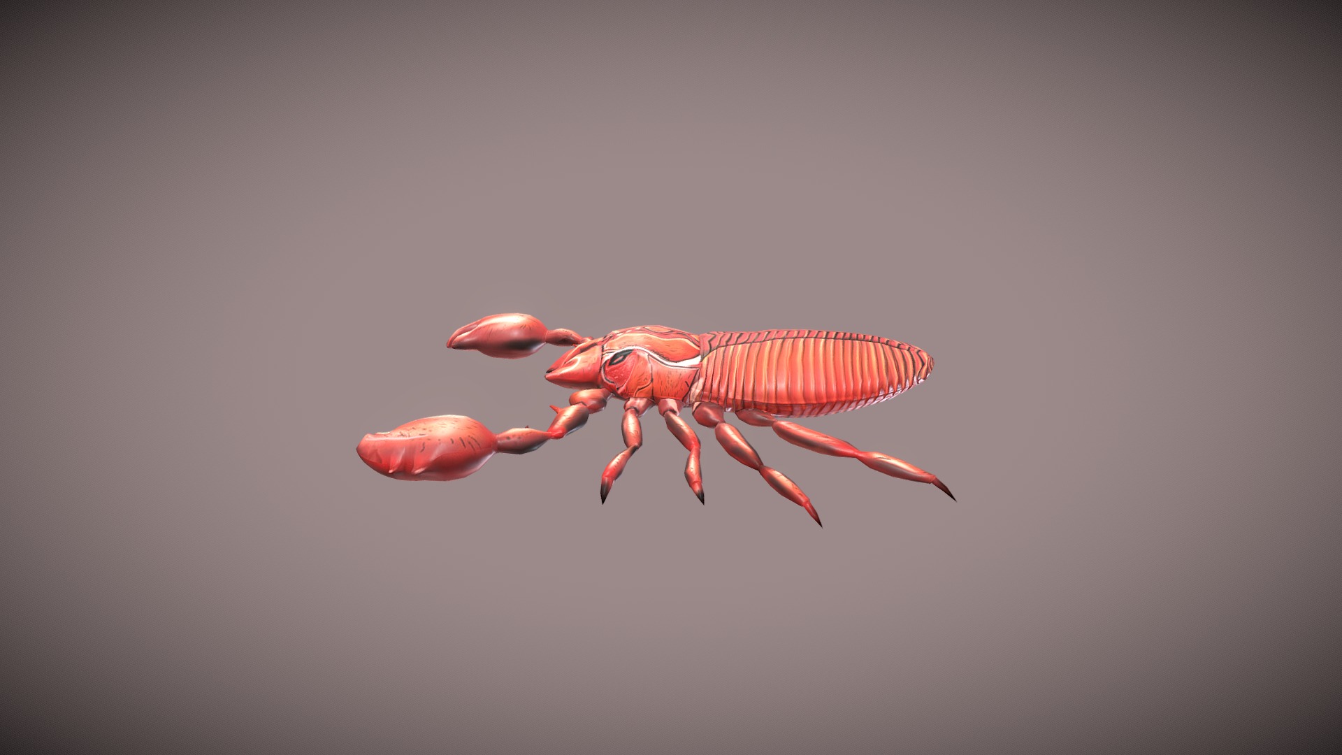 3D model Pseudoscorpion - This is a 3D model of the Pseudoscorpion. The 3D model is about a shrimp on a white background.