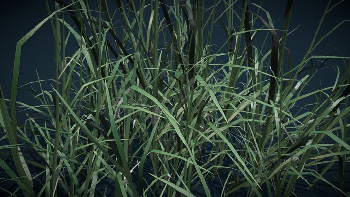 realistics grass 10 3D Model