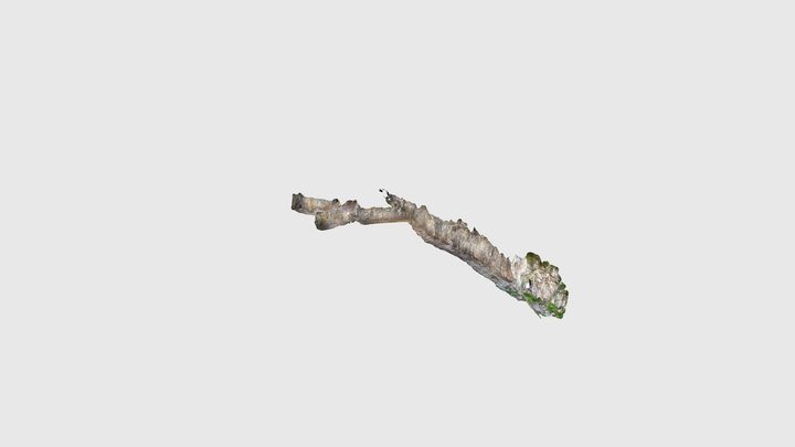 Schwarzwald Flussspatstollen 3D Model
