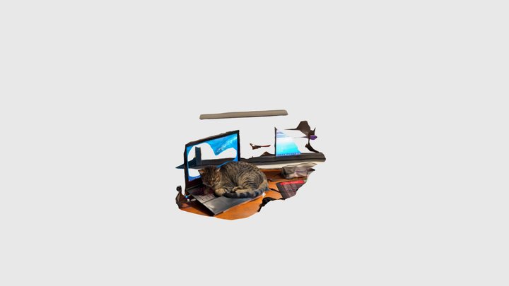 Sushi gato en computadora 3D Model