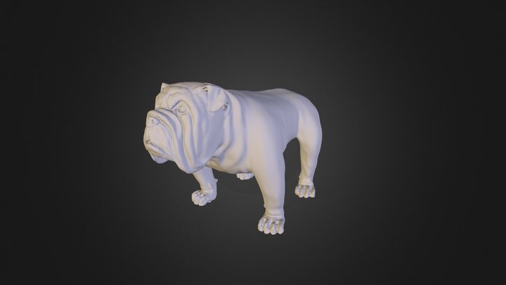 bulldog_test 3D Model