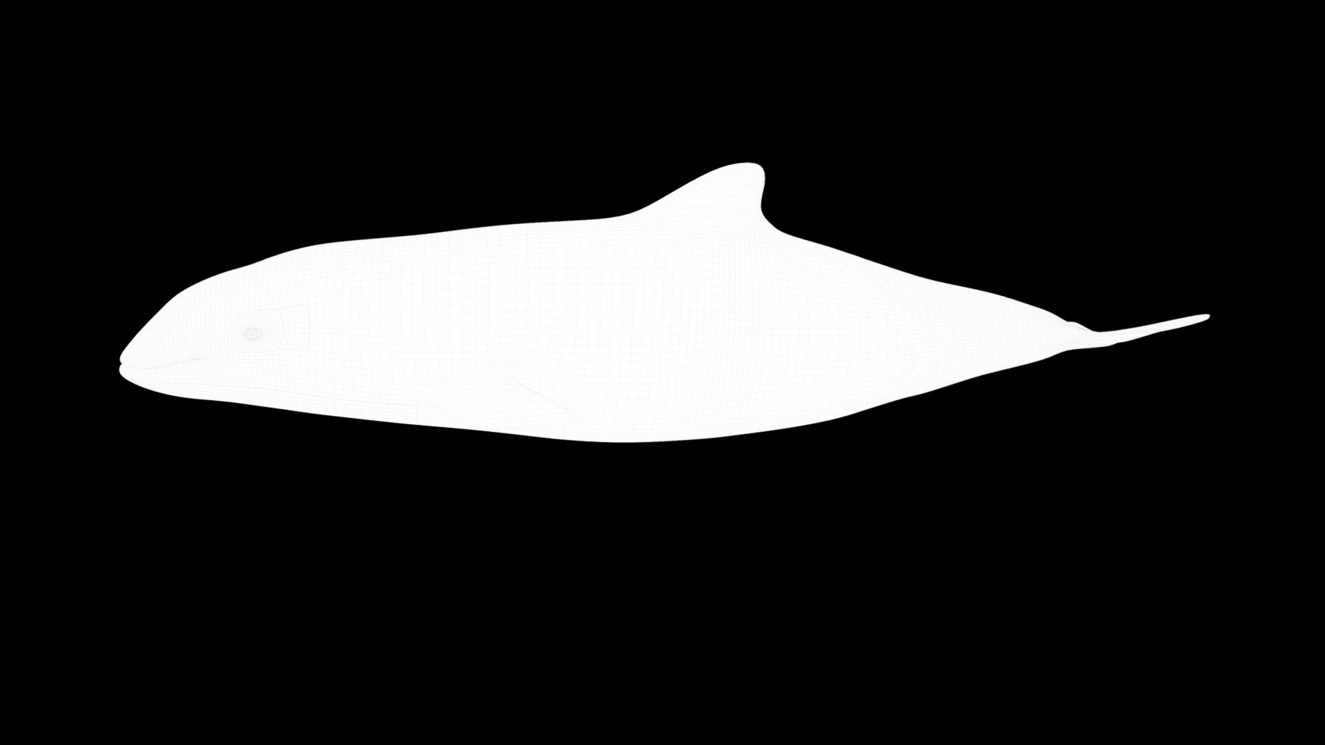 Model 75B - Harbor Porpoise -MESH only