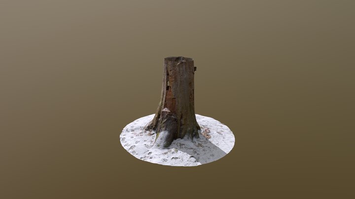 4231 3D Model
