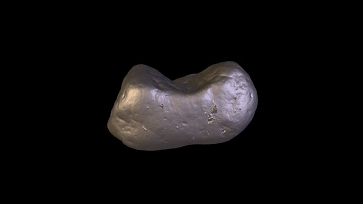 3d scanned rock 3D Model