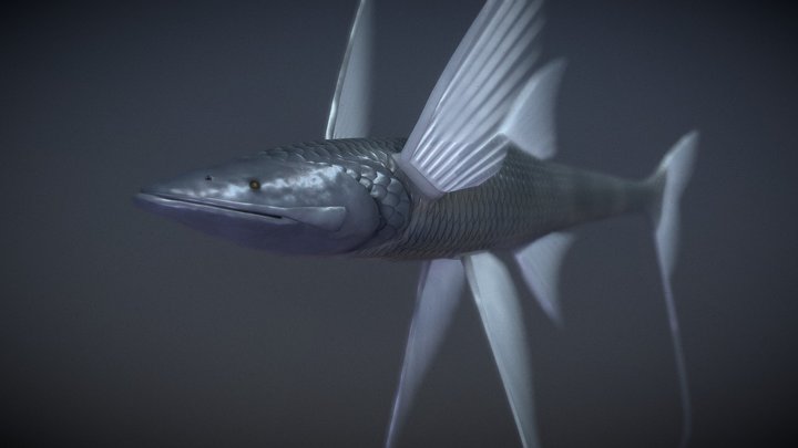 Tripod Fish V1 3D Model